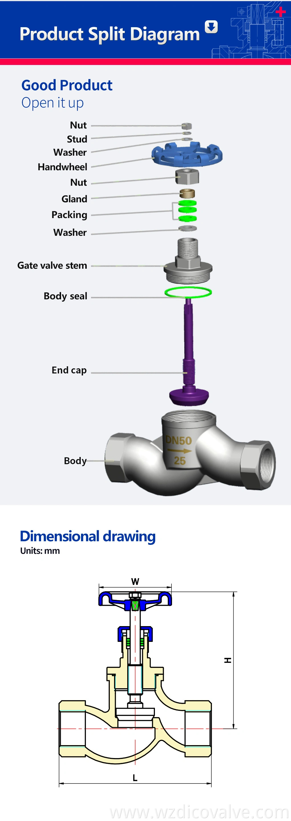 globe valve